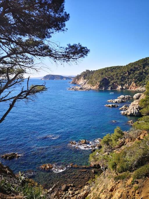 Apartamento Con Piscina L' Ancora Calella De Palafrugell Extérieur photo